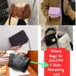 100Pcs Of Bags W1