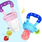 BABY FRUIT NIBBLER/PACIFIER