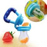 BABY FRUIT NIBBLER/PACIFIER