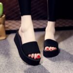 Elegant Thick Wedge Slippers
