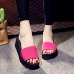 Elegant Thick Wedge Slippers
