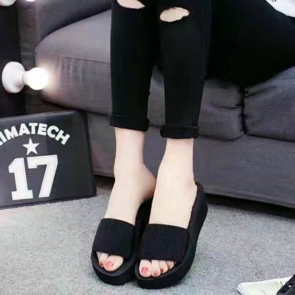 Elegant Thick Wedge Slippers