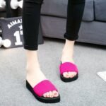 Elegant Thick Wedge Slippers