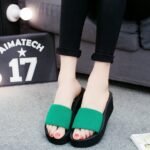 Elegant Thick Wedge Slippers