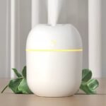 Dual Mist Capsule Air Humidifier