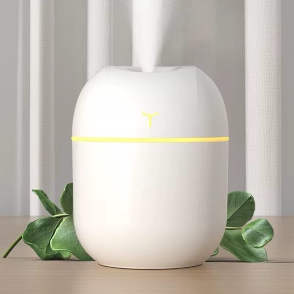 Dual Mist Capsule Air Humidifier