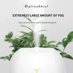 Dual Mist Capsule Air Humidifier