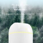 Dual Mist Capsule Air Humidifier