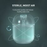 Dual Mist Capsule Air Humidifier
