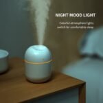 Dual Mist Capsule Air Humidifier