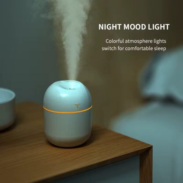 Dual Mist Capsule Air Humidifier