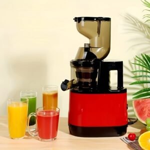 Automatic Cold Press Fruit Juicer