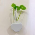 Mushroom LED Night Light – Smart Sensor, Colorful Glow