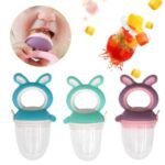 Baby Fruit Feeder Pacifier – Silicone Teething Feeder with Handle